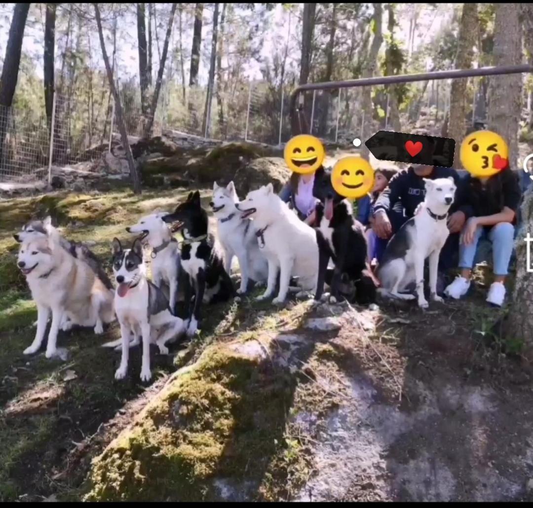 Quarto em Acomodações Particulares Casinha Siberiana, Casa De