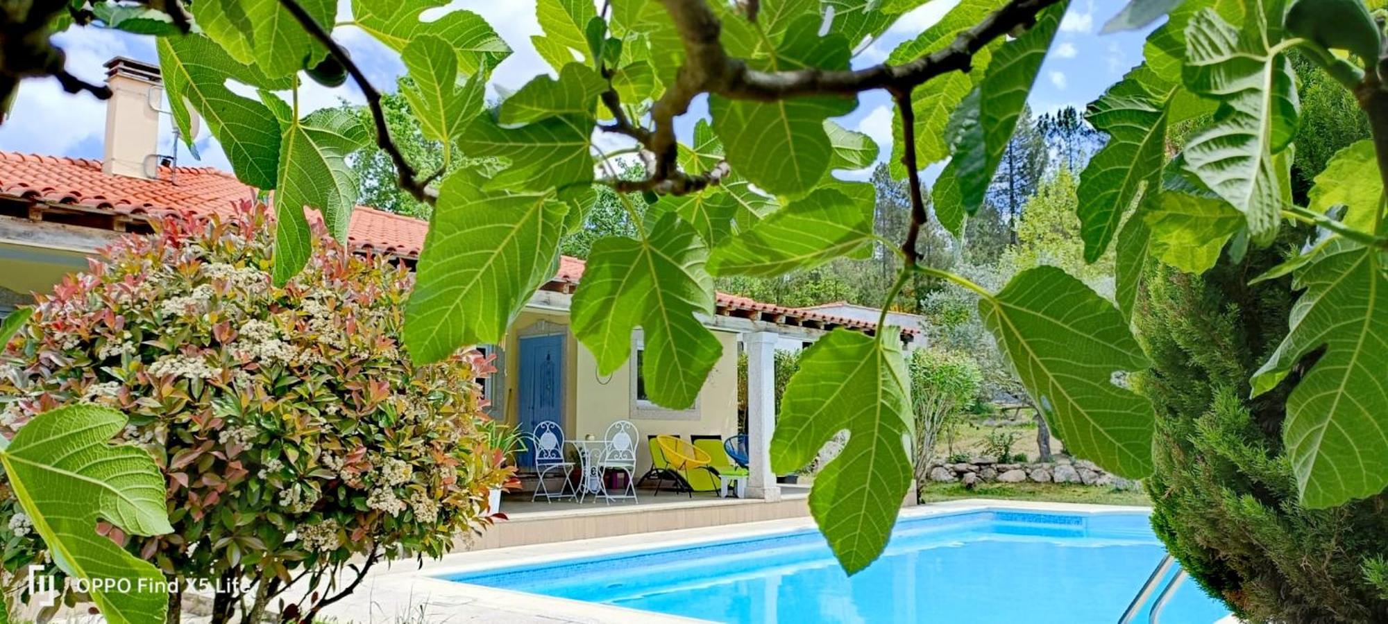 Quarto em Acomodações Particulares Casinha Siberiana, Casa De Vila da Ponte (Viseu)